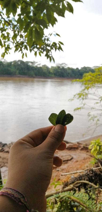 K'Erenda Homet Reserva Natural Puerto Maldonado Exterior foto