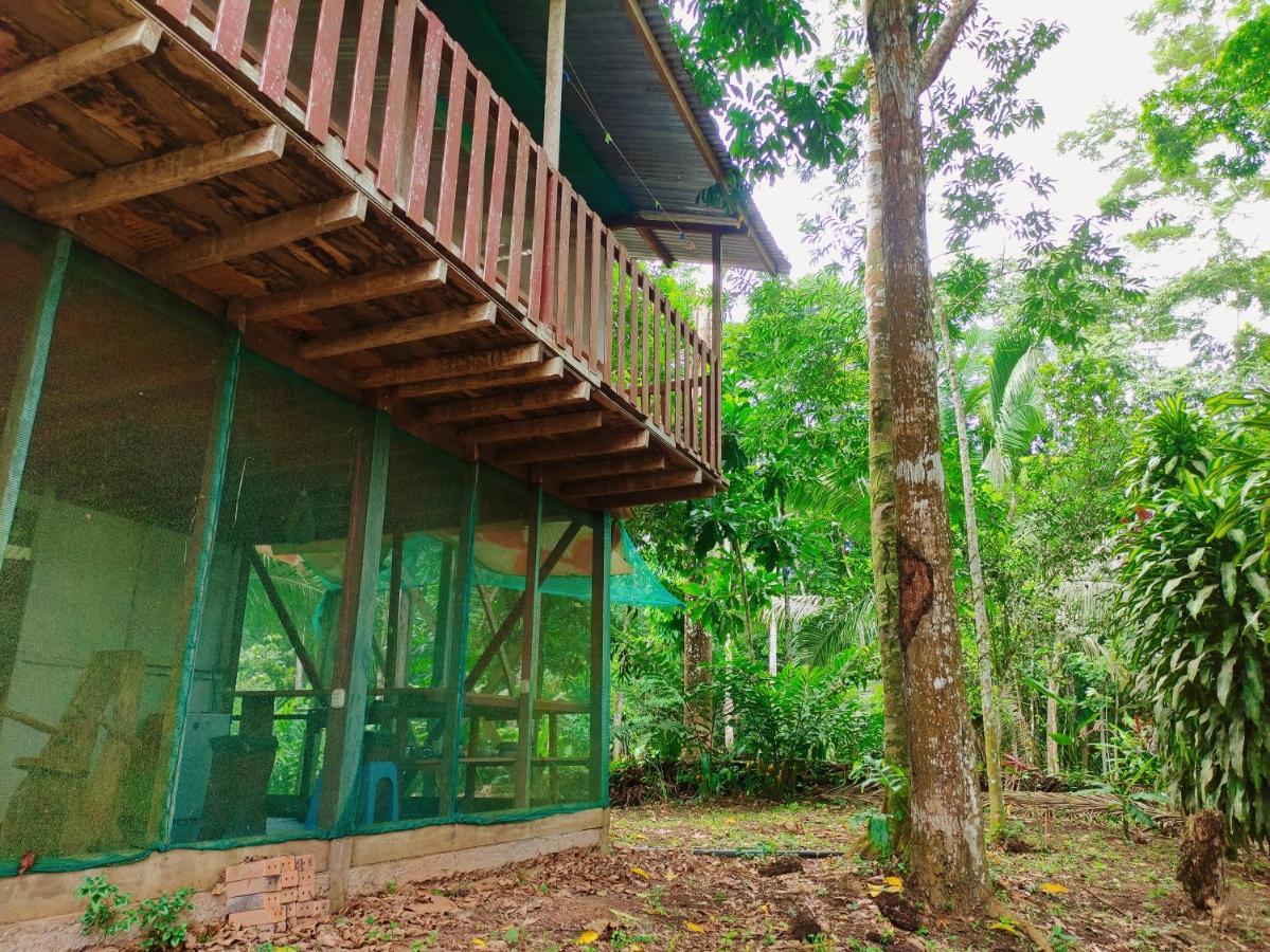 K'Erenda Homet Reserva Natural Puerto Maldonado Exterior foto
