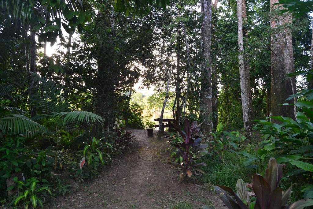 K'Erenda Homet Reserva Natural Puerto Maldonado Cameră foto